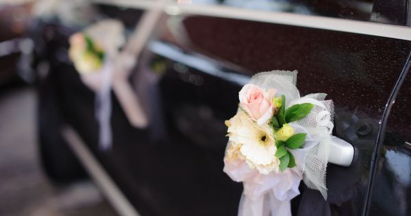 Logistics: Transport, Rentals, Guest Experience